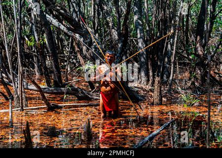 Homme de la tribu Yanomami avec arc et flèche dans les marécages, sud du Venezuela, Amérique du Sud Banque D'Images