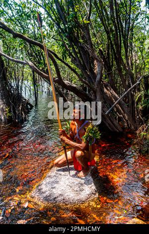 Homme de la tribu Yanomami avec arc et flèche dans les marécages, sud du Venezuela, Amérique du Sud Banque D'Images