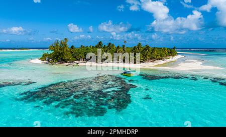 Antenne de la lagune bleue, atoll de Rangiroa, Tuamotus, Polynésie française, Pacifique Sud, Pacifique Banque D'Images