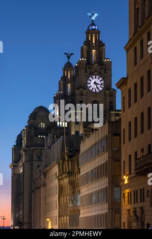 The Liver Building at Night, Water Street, Liverpool, Merseyside, Angleterre, Royaume-Uni, Europe Banque D'Images