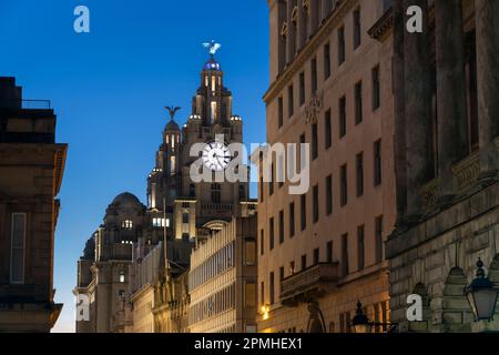 The Liver Building at Night, Water Street, Liverpool, Merseyside, Angleterre, Royaume-Uni, Europe Banque D'Images