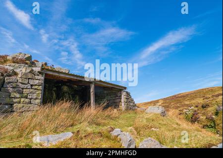 L'ancien abri Pony Mans à Gables Clough sur Tarnbrook est tombé dans la forêt de Bowland, Lancashire Banque D'Images