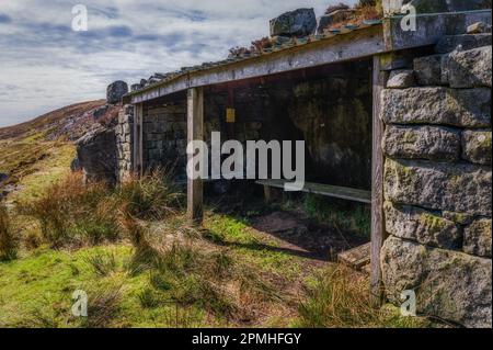 L'ancien abri Pony Mans à Gables Clough sur Tarnbrook est tombé dans la forêt de Bowland, Lancashire Banque D'Images