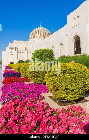 Fleurs et dôme de la Grande Mosquée du Sultan Gaboos, Muscat, Oman, Moyen-Orient Banque D'Images
