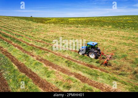 Tracteur bleu avec faneuse de foin en service dans les champs de fauboure agricole, vue latérale aérienne, Italie, Europe Banque D'Images