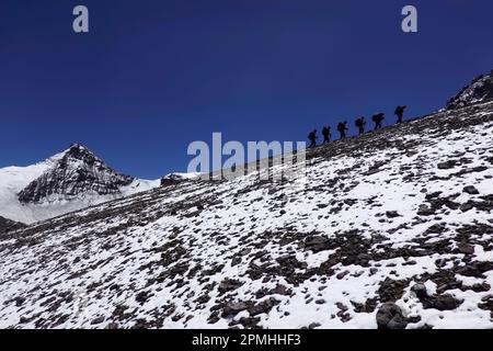 Grimpeurs montant Aconcagua, 6961 mètres, la plus haute montagne des Amériques et l'un des sept sommets, Andes, Argentine, Amérique du Sud Banque D'Images