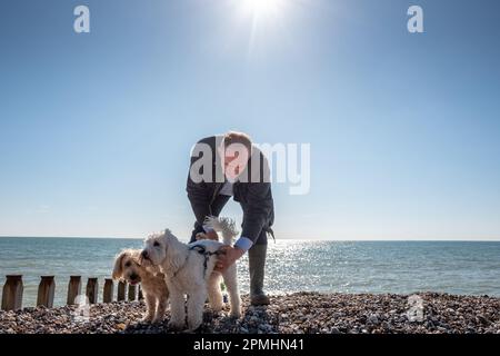 Eastbourne, 4 avril 2023: Le chef libéral démocrate Ed Davey sur la plage d'Eastbourne Banque D'Images