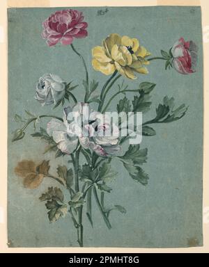 Dessin, Etude d'un bouquet de Roses; France; craie noire, gouache blanche et colorée sur papier bleu Banque D'Images