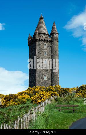 Tour Scrabo, tour, Newtownards, County Down, Irlande du Nord, Royaume-Uni Banque D'Images