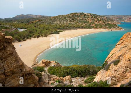 Plage de palmiers de Vai avec palmier crétois (Phoenix theophrasti), Crète, Grèce Banque D'Images