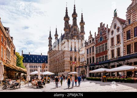 Le Grote Markt est la place centrale de Louvain. La plupart des bâtiments de la place sont construits dans le style gothique, dont l'hôtel de ville est un excellent exemple Banque D'Images