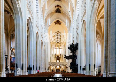 Nef. L'église Saint-Pierre est une église catholique romaine construite au 15th siècle dans le style gothique brabantine. Louvain, Communauté flamande, Flandre Reg Banque D'Images