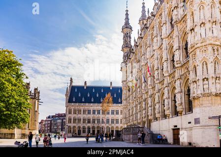Le Grote Markt est la place centrale de Louvain. La plupart des bâtiments de la place sont construits dans le style gothique, dont l'hôtel de ville est un excellent exemple Banque D'Images