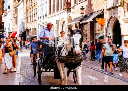 Touristes en calèche. Bruges, Flandre Occidentale, Belgique, Europe Banque D'Images