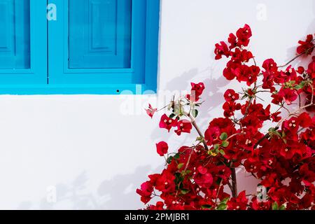 Couleurs méditerranéennes. Torremolinos, Málaga, Andalucía, Espagne, Europe Banque D'Images