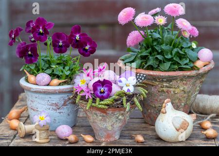 arrangement de pâques avec nid de pâques et fleurs de printemps roses dans des pots de terre cuite vintage Banque D'Images