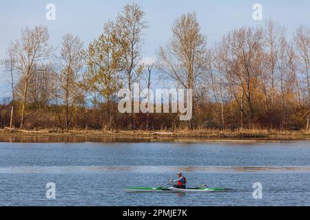 Homme pagayant un canot en saillie le long du front de mer de Steveston, en Colombie-Britannique, au Canada Banque D'Images