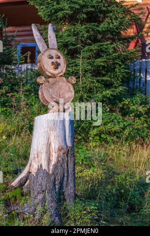 Lièvre en bois d'un arbre abattu sur une souche le long de la route dans les montagnes carpathes, gros plan . Ukraine, Europe Banque D'Images