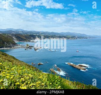 Floraison d'été Cap Vidio paysage (côte asturienne, Cudillero, Espagne). Banque D'Images