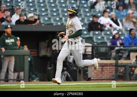 BALTIMORE, MD - APRIL 10: Athletics second baseman Tony Kemp (5) watches a  hit during the Oakland Athletics versus Baltimore Orioles MLB game at  Orioles Park at Camden Yards on April 10