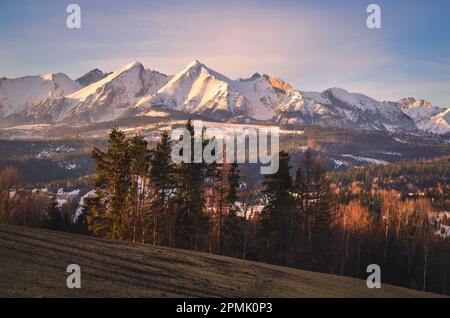 Panorama charmant des montagnes polonaises Tatra le matin. Vue sur les Belianske Tatras depuis le village de Lapszanka, Pologne. Banque D'Images