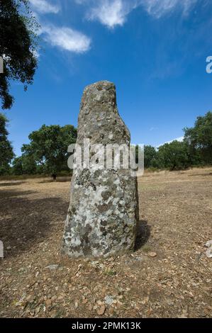 Menhirs et les inhumations mégalithiques de Pranu Mutteddu, Goni (CA), Sardaigne, Italie Banque D'Images