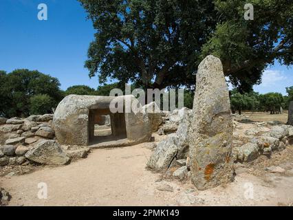 Menhirs et les inhumations mégalithiques de Pranu Mutteddu, Goni (CA), Sardaigne, Italie Banque D'Images