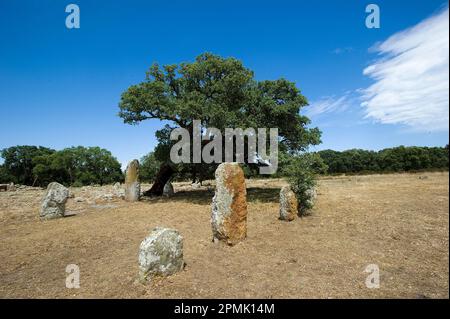 Menhirs et les inhumations mégalithiques de Pranu Mutteddu, Goni (CA), Sardaigne, Italie Banque D'Images