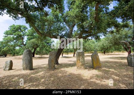 Menhirs et les inhumations mégalithiques de Pranu Mutteddu, Goni (CA), Sardaigne, Italie Banque D'Images