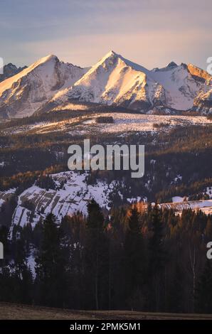 Panorama charmant des montagnes polonaises Tatra le matin. Vue sur les Belianske Tatras depuis le village de Lapszanka, Pologne. Banque D'Images