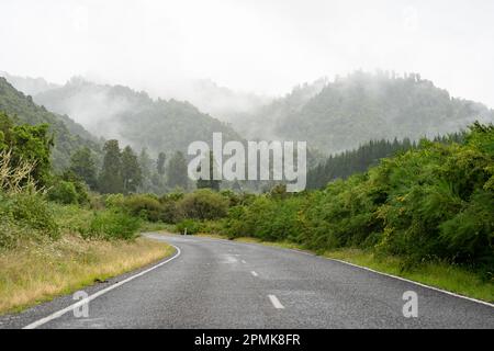 Une autoroute à travers une forêt tropicale par une journée brumeuse Banque D'Images