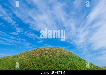 Dunes de sable côtières couvertes d'herbes marraches. Côte nord de l'Île-du-Prince-Édouard, face au golfe du Saint-Laurent. Plage de Cavendish, parc national de l'Î.-P.-É. Banque D'Images