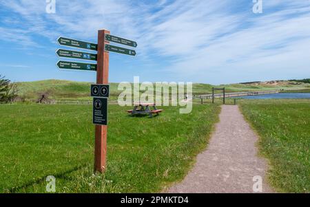 Panneau indiquant le début du sentier Cavendish Dunelands. Le sentier traverse un champ herbeux jusqu'à une promenade flottante, près des dunes de sable. Banque D'Images