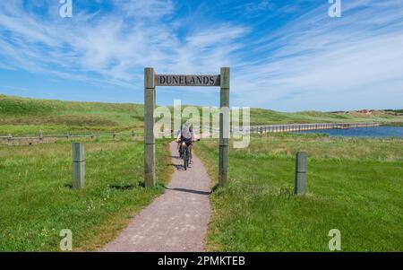 Couple vélo sur le sentier Cavendish Dunelands. Le sentier traverse un champ herbeux jusqu'à une promenade flottante, du côté des dunes de sable. Parc national de l'Î.-P. Banque D'Images