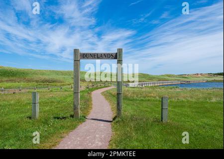 Cavendish Dunelands – un court sentier entre Cavendish Beach et Oceanview Lookout. Il traverse un champ herbeux à une promenade flottante, près des dunes de sable. Banque D'Images