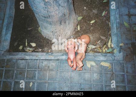 Poupées bébé sous l'arbre Banque D'Images