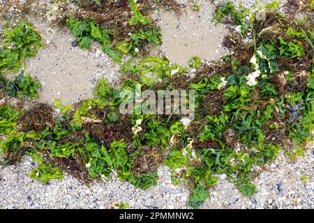 Plage rustique avec rochers et sable Banque D'Images