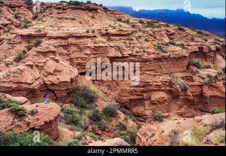 Argentine, San Luis. Randonneur dans le parc national Sierras de las Quijadas. Banque D'Images