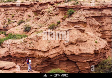 Argentine, San Luis. Randonneur dans le parc national Sierras de las Quijadas. Banque D'Images