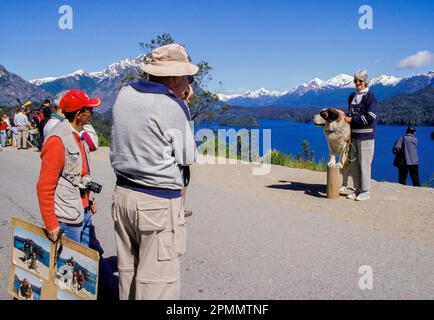 Argentine, région de Bariloche. Les touristes ayant leur photo prise avec un chien St Bernhard dans le quartier des lacs et les montagnes des Andes. Banque D'Images