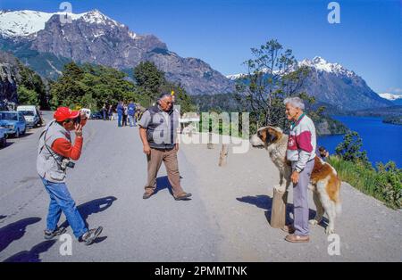 Argentine, région de Bariloche. Les touristes ayant leur photo prise avec un chien St Bernhard dans le quartier des lacs et les montagnes des Andes. Banque D'Images