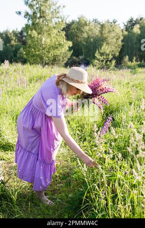 portrait d'une fille dans un champ fleuri au soleil au coucher du soleil Banque D'Images