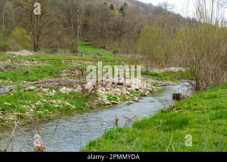 Paysage riverain autour du Grimmmmbach, une petite rivière dans le district de Hohenlohe, dans le sud de l'Allemagne, au début du printemps Banque D'Images