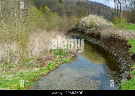Paysage riverain autour du Grimmmmbach, une petite rivière dans le district de Hohenlohe, dans le sud de l'Allemagne, au début du printemps Banque D'Images