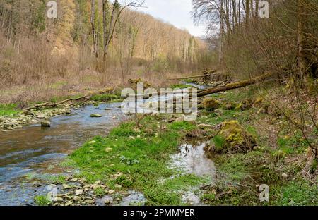 Paysage riverain autour du Grimmmmbach, une petite rivière dans le district de Hohenlohe, dans le sud de l'Allemagne, au début du printemps Banque D'Images