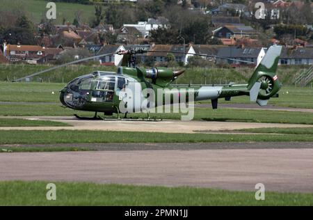 Un hélicoptère Westland Gazelle AH.1 dans un jeu de couleurs de l'armée britannique à Brighton City Airport Shoreham UK Banque D'Images