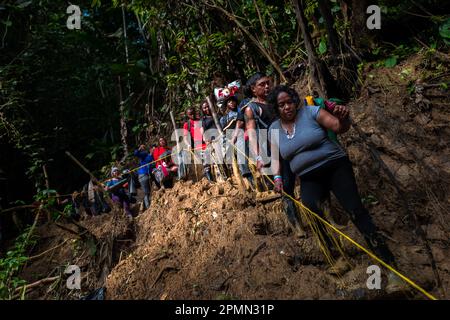 Les migrants haïtiens grimpent sur un sentier boueux à flanc de colline dans la jungle sauvage et dangereuse du fossé Darién entre la Colombie et Panamá. Banque D'Images