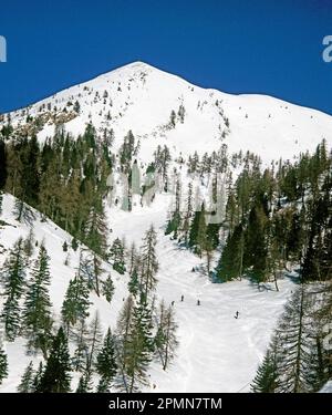 Italie. Forni Di Sopra. Piste de ski des Dolomites. Banque D'Images