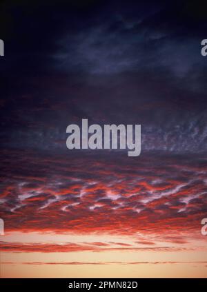 Pittoresque. Ciel rouge avec nuages d'altocumulus et de stratocumulus au crépuscule juste après le coucher du soleil. Banque D'Images