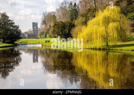 Abbaye de Fountains les vestiges d'un monastère cistercien sont aujourd'hui une propriété de la National Trust près de la ville de Ripon, dans le nord du Yorkshire Banque D'Images